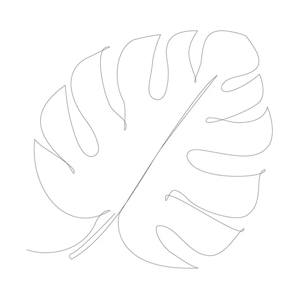 Monstera φύλλα μία γραμμή σχέδιο. Εξωτικό φυτό ζωγραφισμένο στο χέρι διανυσματική απεικόνιση — Διανυσματικό Αρχείο