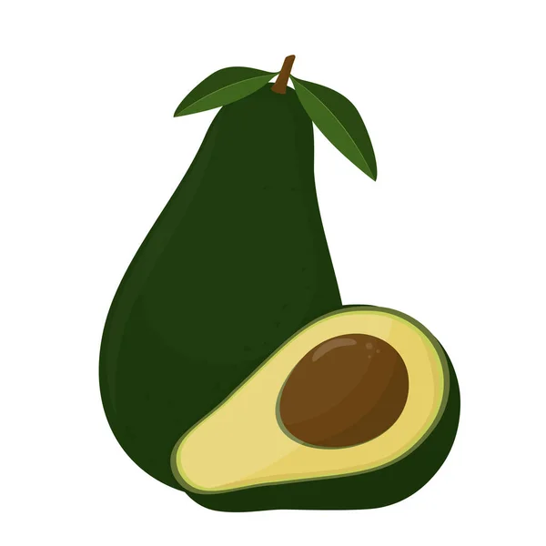 Vector Avacado Fruit Isolé Sur Fond Blanc Avacado Entier Demi — Image vectorielle