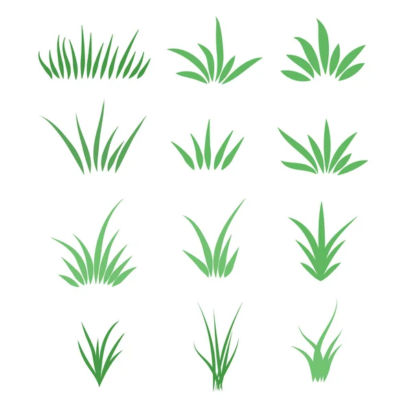 Set Green Grass White Background Vector Illutration — Stock Vector