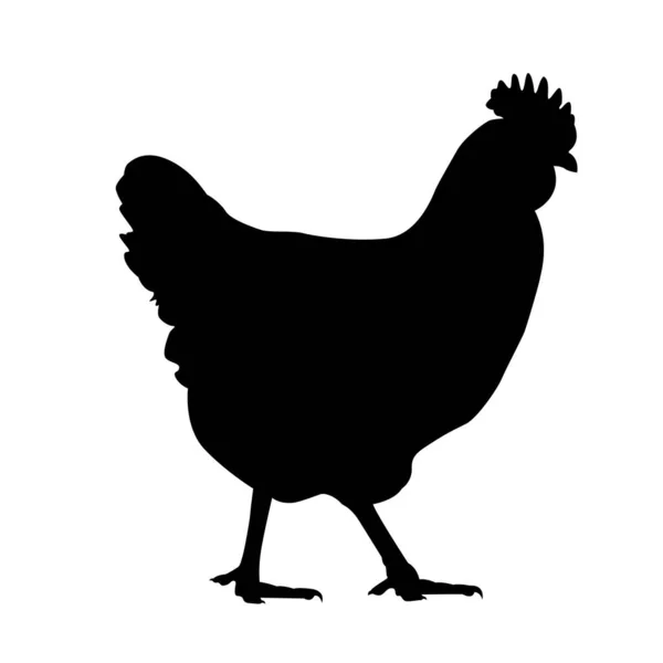 Silhouette Poule Isolée Sur Fond Blanc Icône Ferme Volaille Vectorielle — Image vectorielle