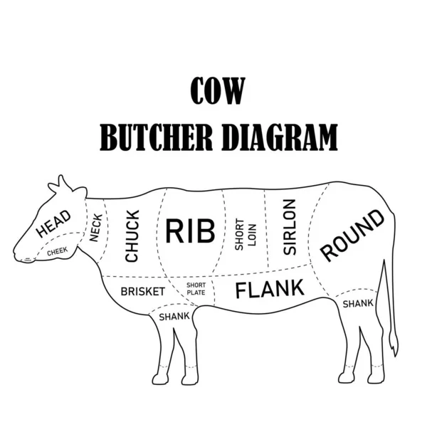 Diagrama Del Carnicero Cortes Carne Vaca Para Carnicería Carnicería Restaurante — Vector de stock