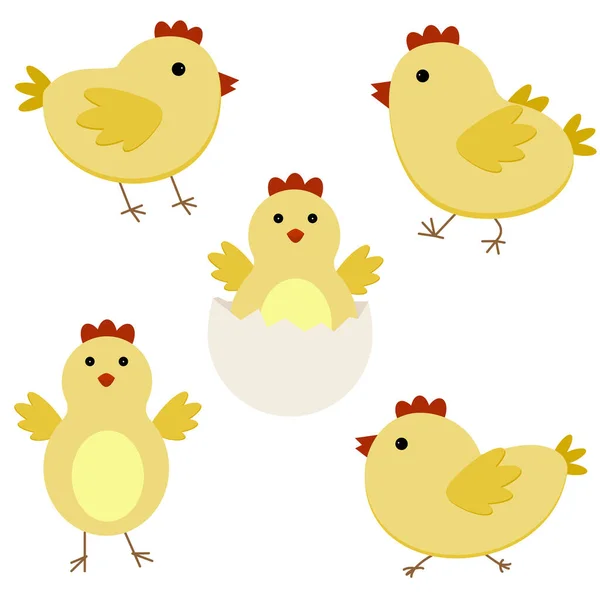 Lindo conjunto de pollo de dibujos animados. Pollos amarillos divertidos en diferentes poses. Iconos de chicas. Ilustración vectorial plana. — Vector de stock