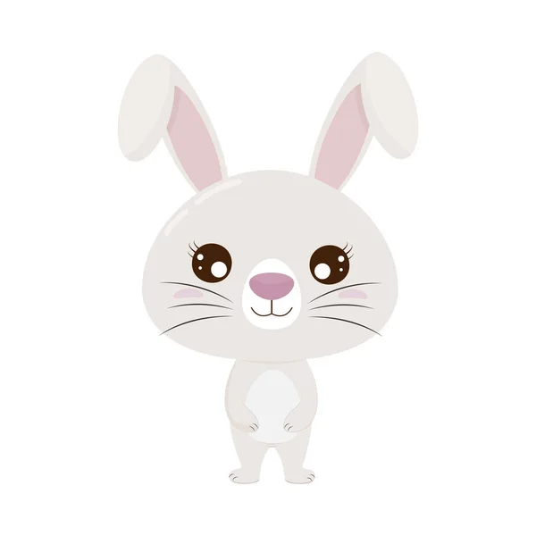 Mignon Lapin Dessin Animé Isolé Sur Fond Blanc Illustration Vectorielle — Image vectorielle