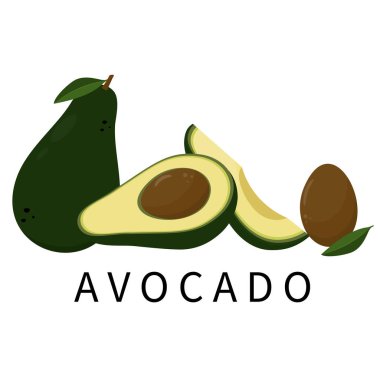 Avokado simgeleri beyaz arkaplanda ayarlandı. Vektör illüstrasyonu.