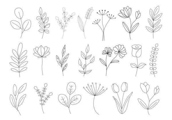 Big Vector Set Linear Plants Flovers Hand Drawn Botanical Icons — Vector de stock