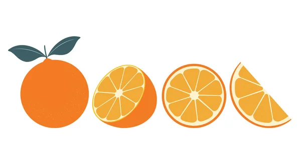 Ensemble Oranges Fraîches Fruit Orange Isolé Sur Fond Blanc Illustration — Image vectorielle
