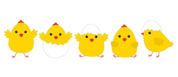 Conjunto Pollos Pascua Dibujos Animados Pollo Divertido Islado Sobre Fondo — Vector de stock