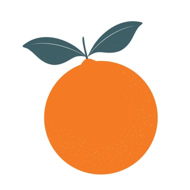 Beyaz arka planda izole edilmiş portakal meyvesi. Tasarım ve yazdırma için vektör illüstrasyonu