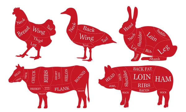 Butcher diagram. Meat cuts. Silhouette of a cow, chicken, pig, rabbit, duck. Vector illustration for butcher shop. — ストックベクタ