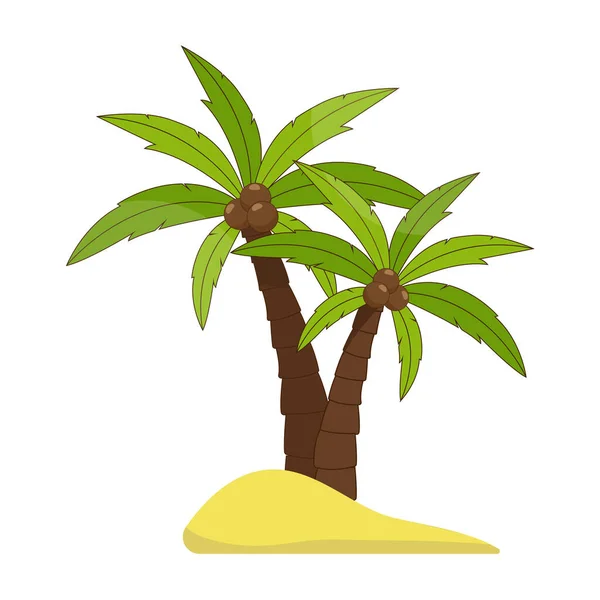 Palmera con cocos sobre fondo blanco. Ilustración vectorial para diseño e impresión — Archivo Imágenes Vectoriales