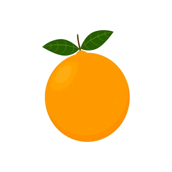 Orange Fruit Isolated White Background Vector Illustration Design — Stockvektor