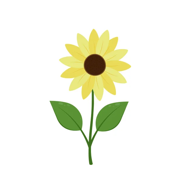白い背景ベクトルのイラストに描かれたひまわりアイコン かわいい夏の花 — ストックベクタ