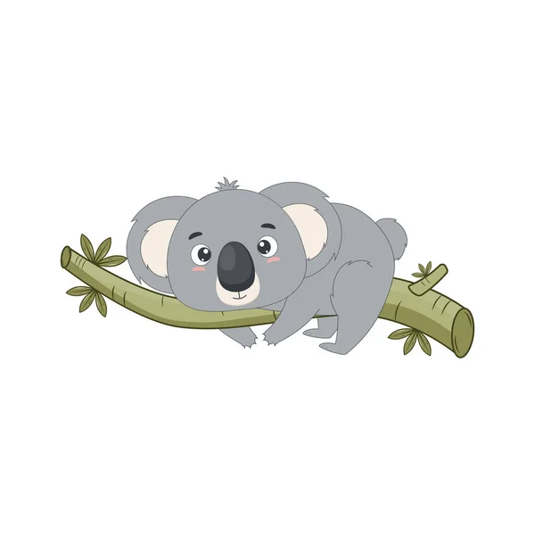 Mała Koala Leży Gałęzi Eukaliptusa Ilustracja Wektora — Wektor stockowy