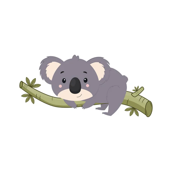 Mała Koala Leży Gałęzi Eukaliptusa Ilustracja Wektora — Wektor stockowy