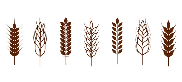 Collection Outline Wheat Icons Wheat Symbol Bakery Bread Agriculture Logo — ストックベクタ