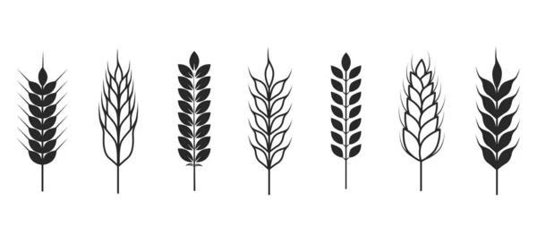 Wheat Ears Icon Vector Wheat Icons Isolated White Background — ストックベクタ