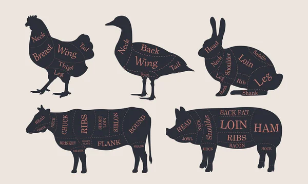 Butcher Diagram Diagram Set Silhouettes Rabbit Chicken Duck Cow Pig — Stockvector
