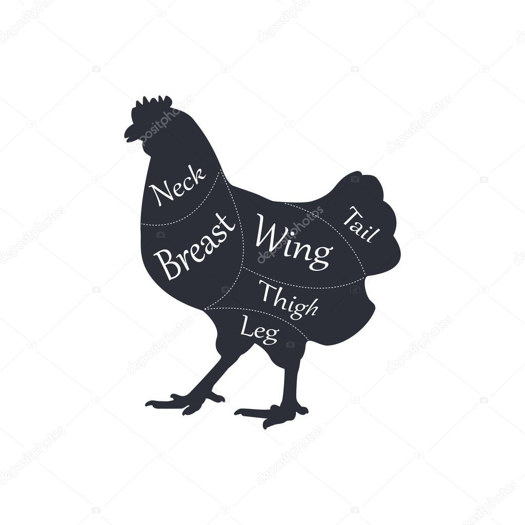 Cuts of chicken meat for butchery, meat shop, restaurant, grocery store.Butcher diagram. Vector illustration