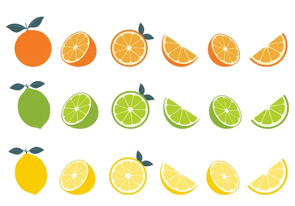 Großes Vektorset Mit Zitrusfrüchten Orangen Zitronen Und Limettensymbole Auf Weißem — Stockvektor