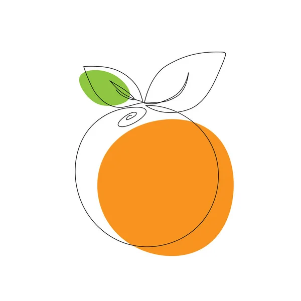 Orangenfrucht Stil Der Kontinuierlichen Linienzeichnung Schwarze Strichskizze Auf Weißem Hintergrund — Stockvektor