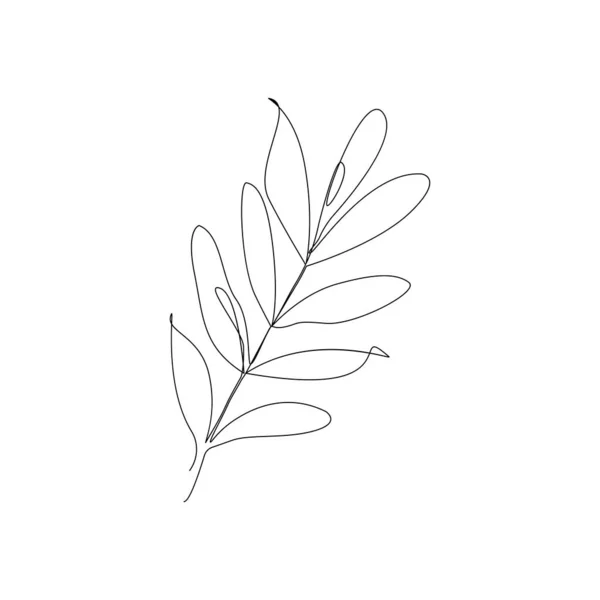 Eukalyptusblätter Eine Linie Zeichnung Art Vector Illustration — Stockvektor