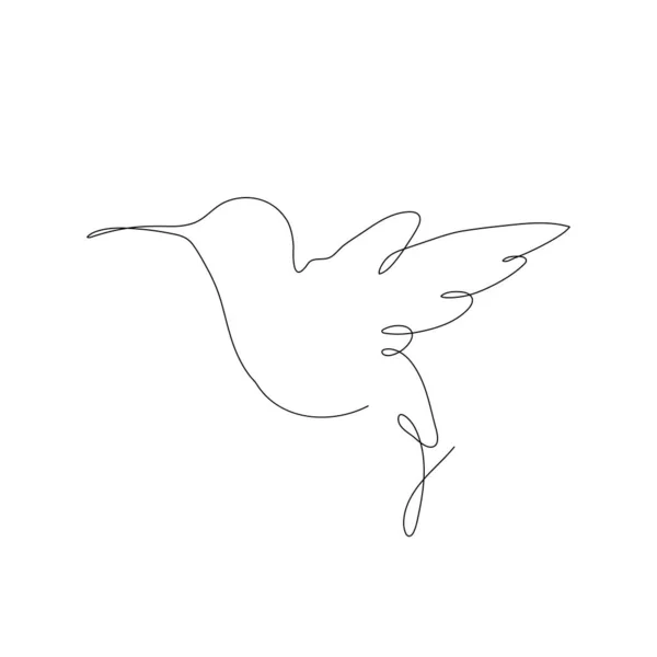 Şirin Bir Sinekkuşu Çizimi Şirket Logosu Kimliği Için Aralıksız Çizgi — Stok Vektör