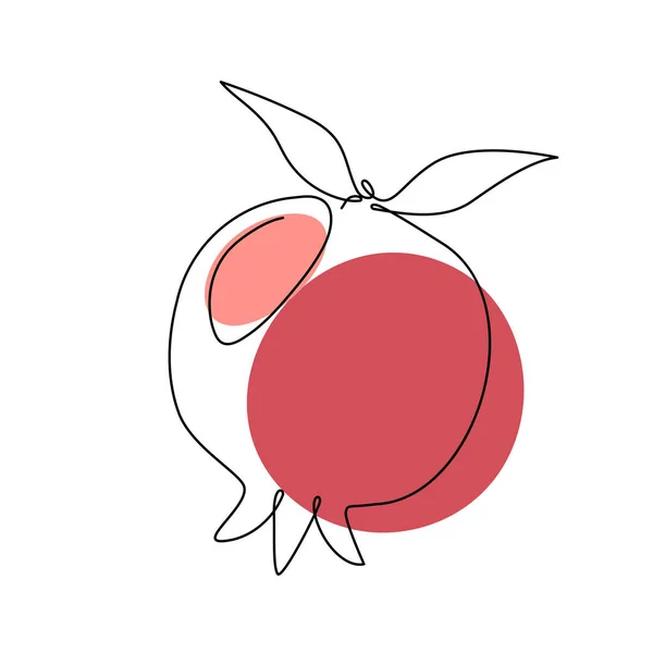 Granátové Jablko Souvislém Stylu Kresby Kreslení Ovoce Jednou Linkou Granátové — Stockový vektor