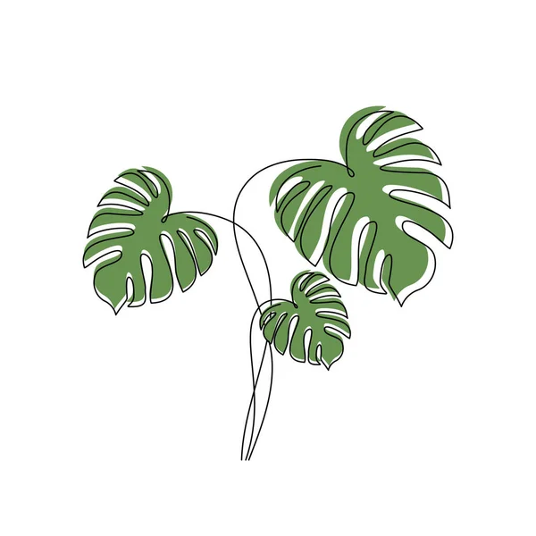植物的叶子 单行画 连续线条风格的Monstera 热带棕榈叶 现代印刷 网络矢量图解 — 图库矢量图片