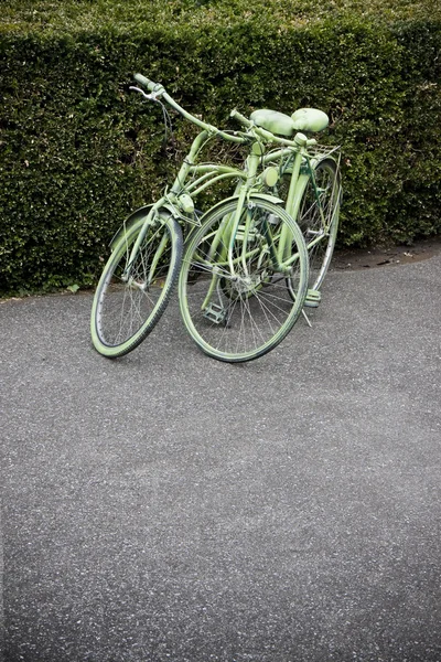 Два зеленых велосипеда — стоковое фото