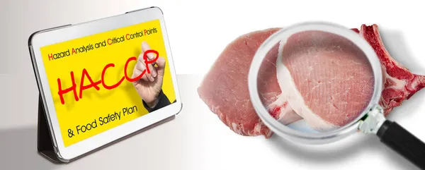 新鲜猪肉牛排Haccp 危险分析和关键控制点 概念与放大镜图像 食品行业的食品安全和质量控制 — 图库照片