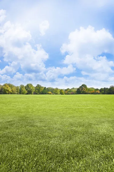 Beautiful green mowed lawn with trees and cloudy sky on background - image with copy space