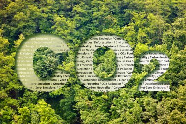 CO2 Net-Zero Emission - Carbon Neutrality concept against a forest with keywords clipart