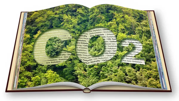CO2 Net-Zero Emission - Carbon Neutrality concept against a forest with keywords - 3D render of an opened photo book isolated on white background