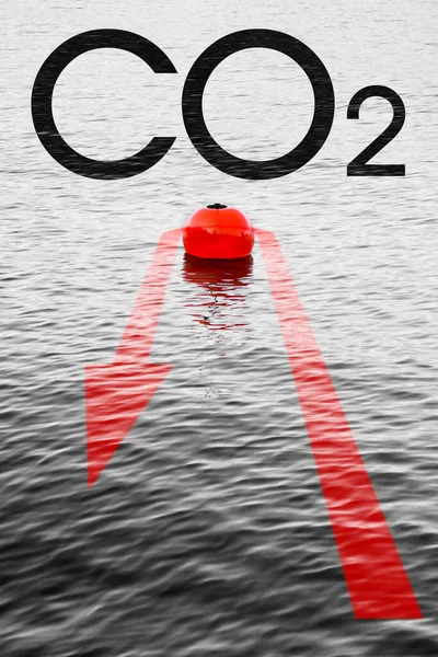 CO2 at the turning point -  Carbon Neutrality concept with a red bouy on a calm lake and red arrow that comes back