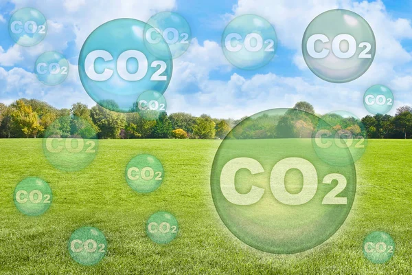 Relva Dissipador Carbono Relvado Reduz Níveis Co2 Conceito Com Prado — Fotografia de Stock
