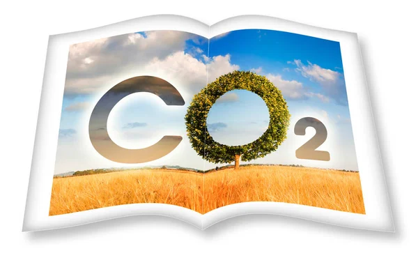 Co2排出量の削減 農村部でCo2アイコンテキストと木の形をコンセプトにした3Dレンダリングオープンフォトブック — ストック写真