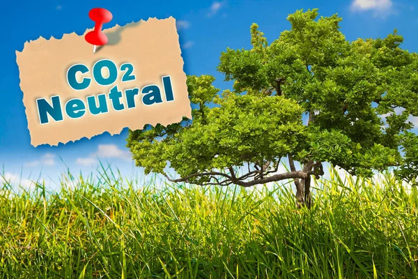 CO2 Net-Zero Emission - Carbon Neutrality concept with lone tree