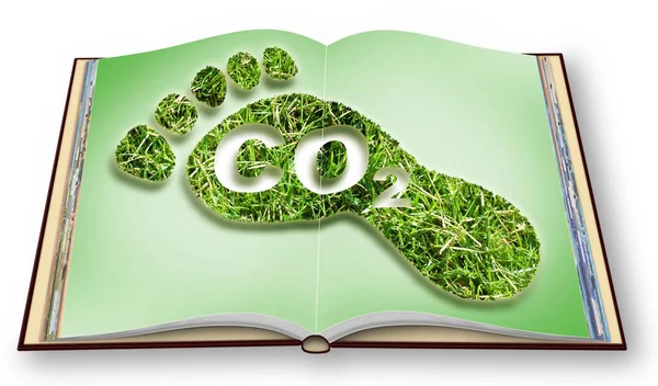 Carbon Footprint Concept Beeld Met Co2 Tekst Tegen Voetafdruk Grasvorm — Stockfoto