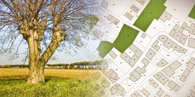 Doğa ve şehir - yalnız ağaç ve hayali şehir haritası ile kavram