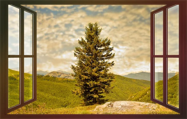 stock image Mountain ladscape with lone fir tree seen through a window - Escape from city and live in the mountains - concept image