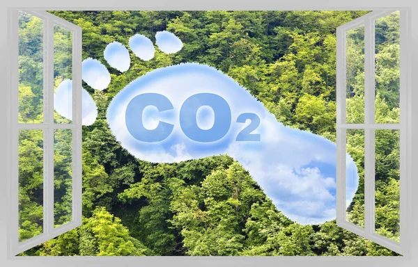 Koncept För Koldioxidavtryck Med Co2 Text Och Fotavtrycksform Mot Skog — Stockfoto