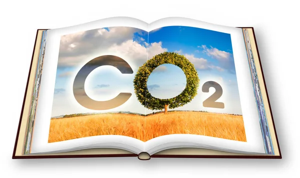 Minskning Mängden Koldioxidutsläpp Renderingsöppnat Fotobokskoncept Med Co2 Ikon Text Och — Stockfoto