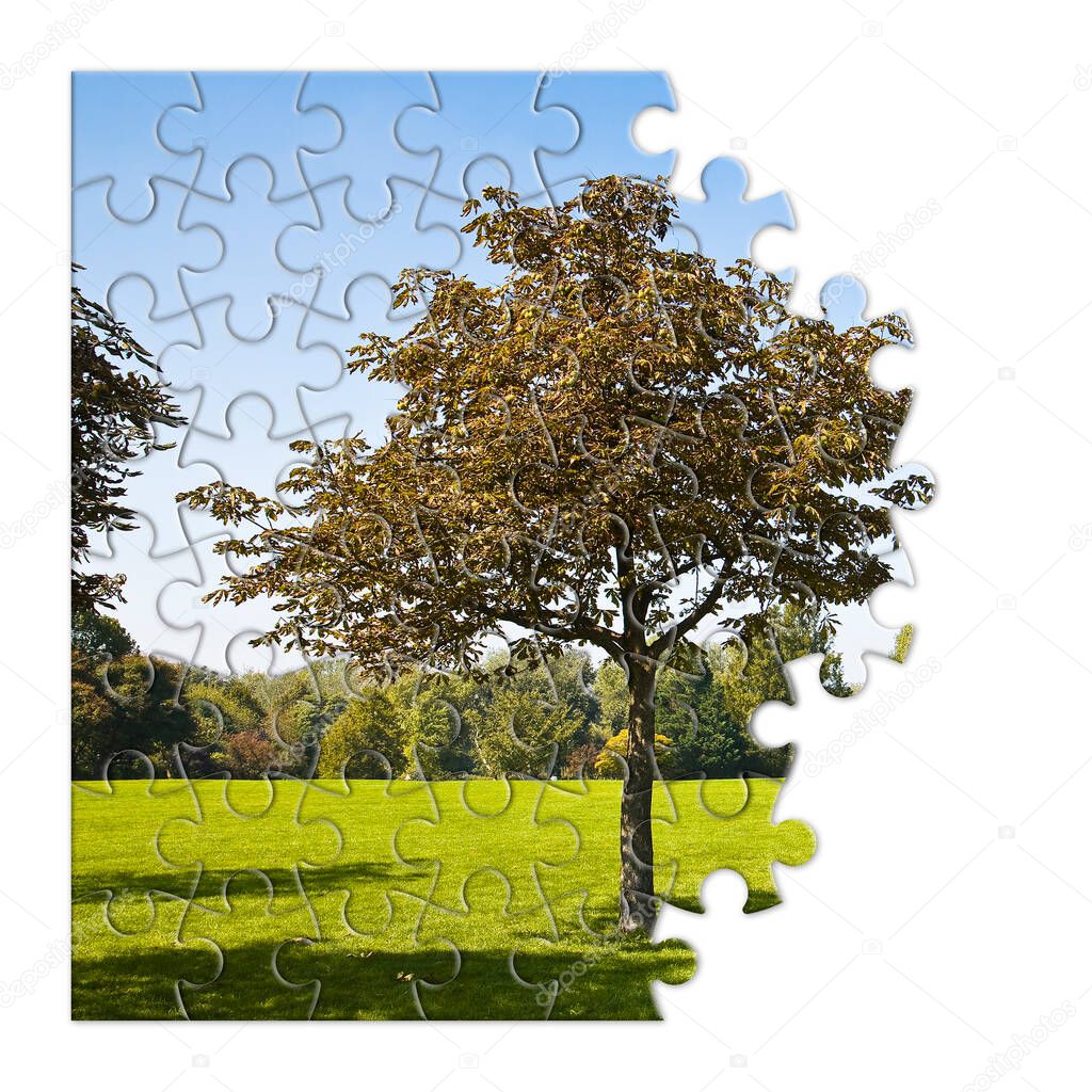 Isolated tree in a green meadow - environmental conservation concept image in jigsaw puzzle shape