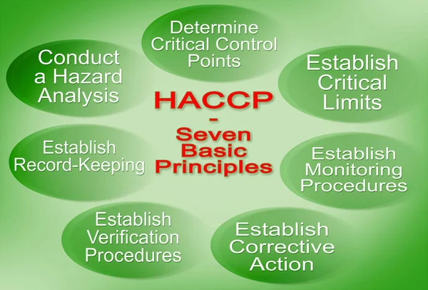 Διάταξη Σχετικά Επτά Βασικές Αρχές Των Σχεδίων Haccp Ανάλυση Κινδύνων — Φωτογραφία Αρχείου