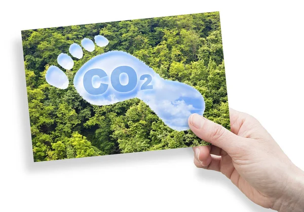 Co2 Fußabdruckkonzept Mit Co2 Text Und Fußabdruckform Gegen Wald Co2 — Stockfoto