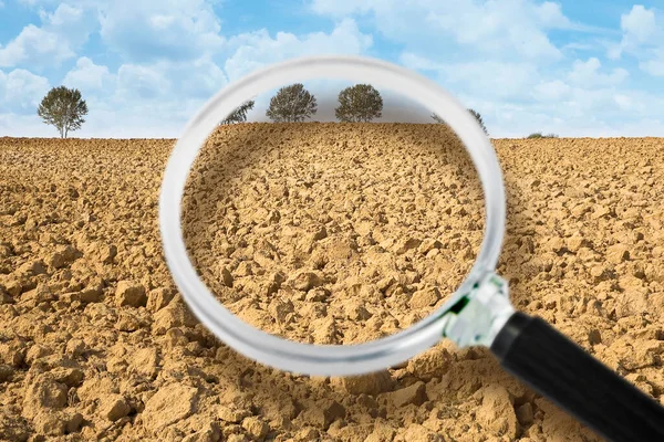 Geploegd Veld Klaar Worden Gezaaid Met Bomen Rug Bewolkte Hemel — Stockfoto