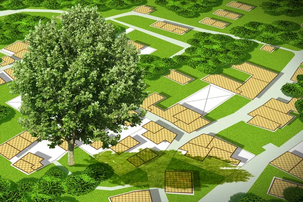 Mapa Catastral Imaginario Con Árbol Solitario Una Zona Verde Parque — Foto de Stock