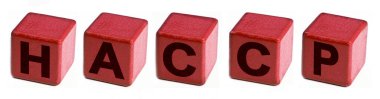 HACCP - Tehlikeli Analiz ve Kritik Kontrol Noktaları - Gıda endüstrisinde Gıda Güvenliği ve Kalite Kontrolü - kopyalama alanı olan konsept resim