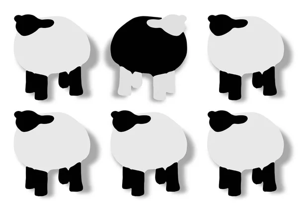 Moutons Noirs Solitaires Contre Troupeau Moutons Blancs Concept Dessin Animé — Photo