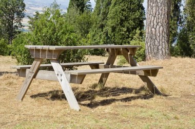 Tahta boş piknik masası yazın ağaçlarla dolu bir parkta.